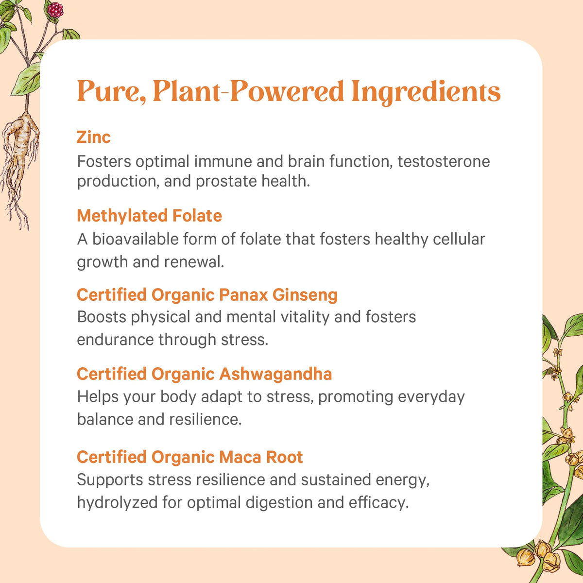 PURE SYNERGY Vita·Min·Vitality | Natural Multivitamin for Men | Men’s Daily Multivitamin Made with Organic Whole Foods | for Energy, Stress, and Immune Support (60 Tablets) PURE SYNERGY buy supplements Au