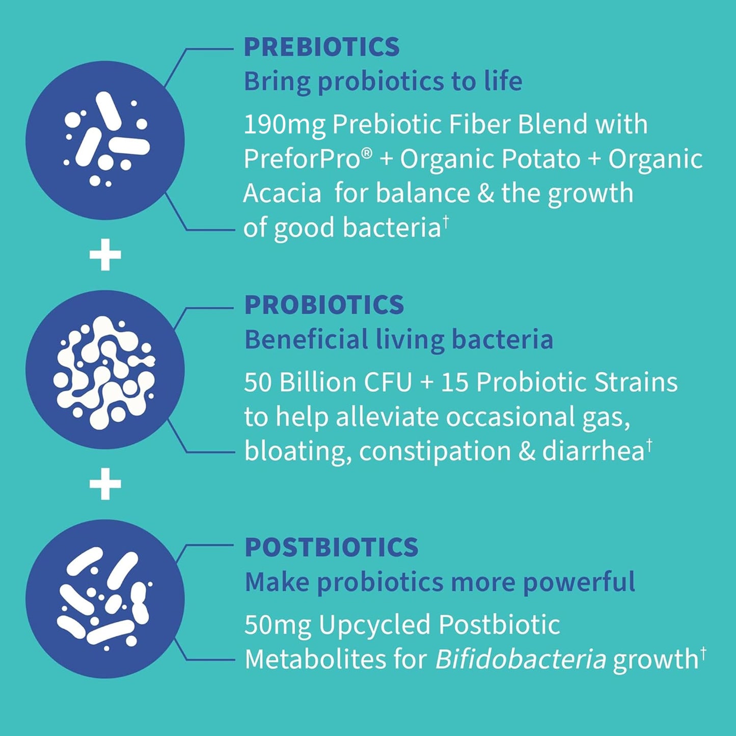 Garden of Life Dr. Formulated Pre, Post & Probiotics Gas & Bloating Once Daily 3-in-1 Complete Prebiotics, Postbiotics & Probiotics – 50 Billion CFU, Non-GMO, Gluten-Free, 30 Day Supply Garden of Life buy supplements Au