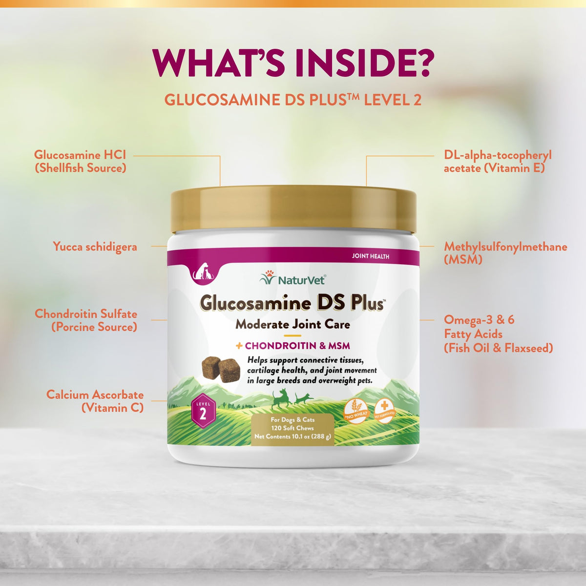 NaturVet – Glucosamine DS Plus - Level 2 Moderate Care – Supports Healthy Hip & Joint Function – Enhanced with Glucosamine, MSM & Chondroitin – for Dogs & Cats–120 Soft Chews NaturVetBuy Supplements Australia