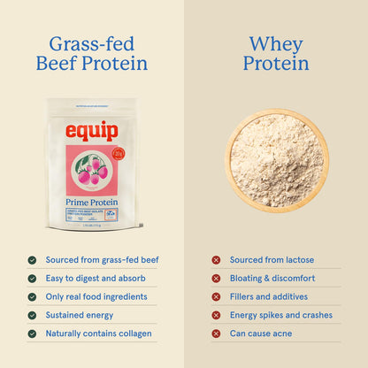 Equip Prime Chocolate Protein Powder - Gut-Friendly, No Sugar Protein Shake Powder with Grass-Fed Beef & Natural Collagen - Rich & Creamy Mix - 21g Per Serving - Whey & Dairy-Free (30 Scoops)