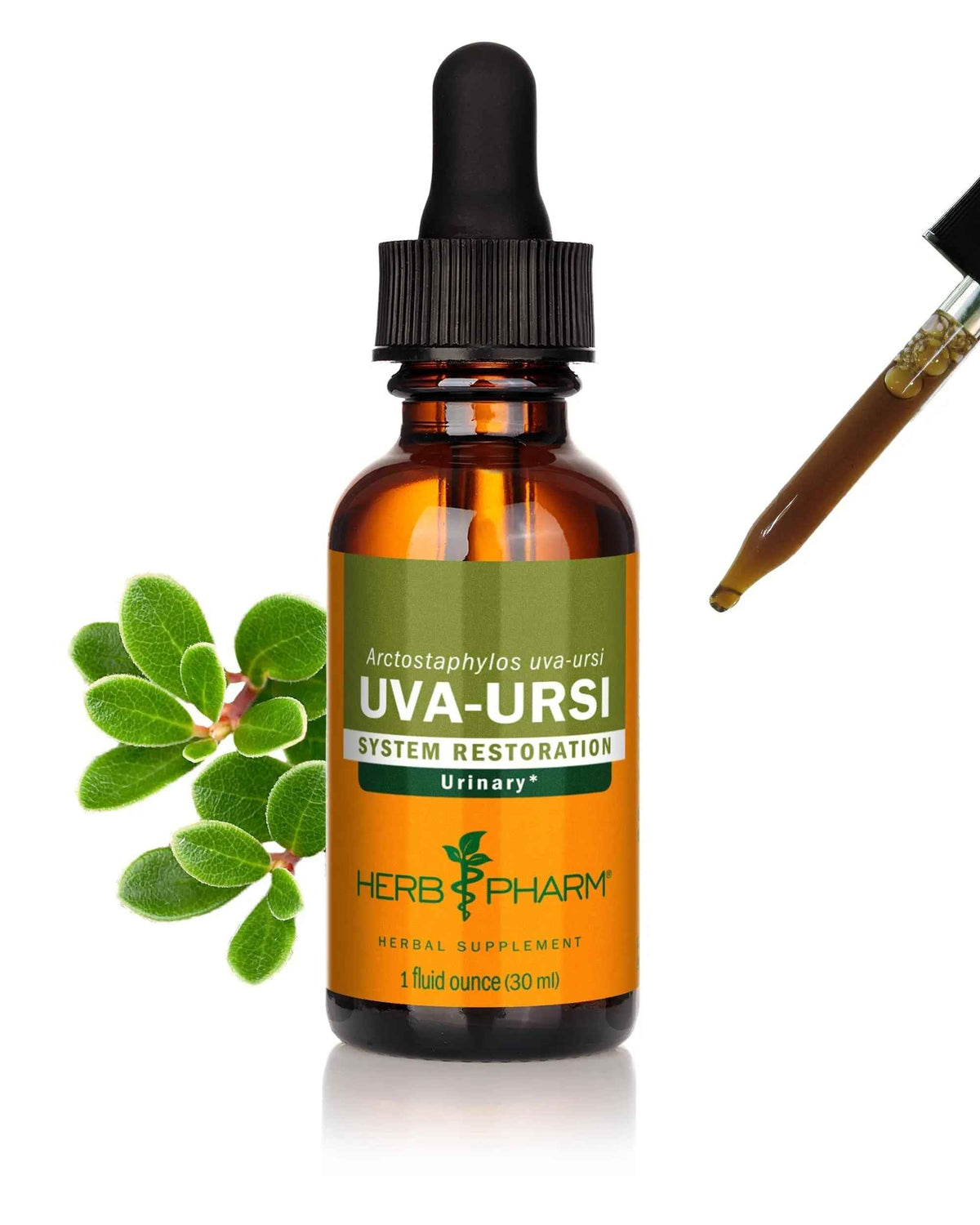 Herb Pharm Uva Ursi Liquid ExtraCount for Urinary System Support, 1 Fl Oz