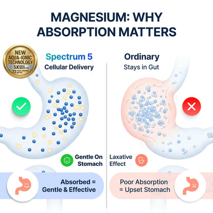 Spectrum 5 Magnesium | 5-in-1 Complex + 72 Trace Minerals for Enhanced Absorption | Irish Sea Sourced | 500mg per Serving