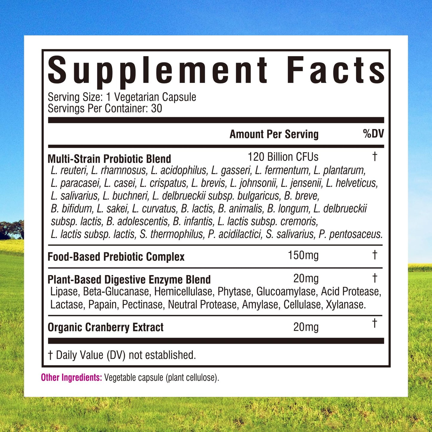 Innate Vitality Women's Probiotics, 120 Billion CFU, 32 Tested Strains, Probiotics for Women, Yeast Control, Vaginal pH Support, Prebiotics, Digestive Enzymes, Cranberry, Once Daily 30 Veggie Capsules Innate Vitality buy supplements Au
