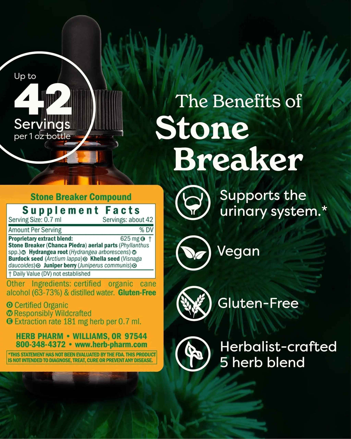Herb Pharm Stone Breaker (Chanca Piedra) Compound Liquid for Urinary System Support - 1 Fl Oz