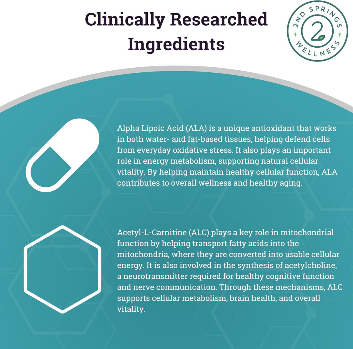 ALA & ALC Complex + Men’s Daily 7 Essentials Bundle | Energy, Metabolism, Cognitive Support, Vitality, Immunity & Daily Wellness