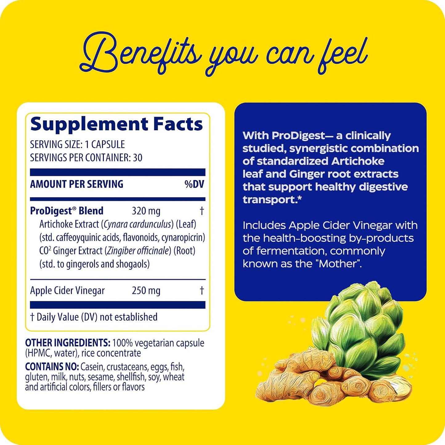 Enzymedica Gut Motility with Apple Cider Vinegar, Artichoke, 30 Caps | Supports digestive movement with ginger and botanical extracts