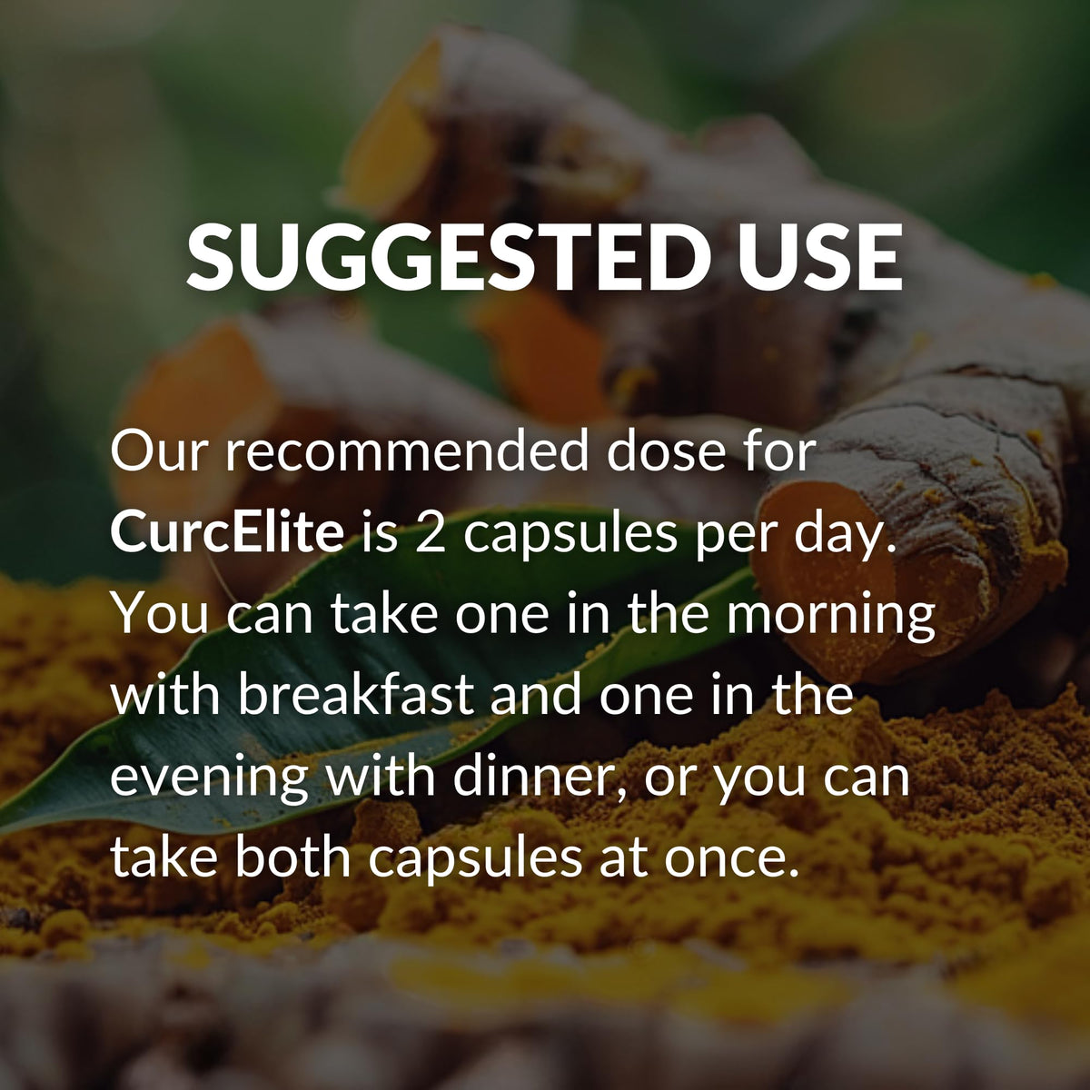 Mara Labs CurcElite Curcumin | Turmeric Extract 95% Curcuminoids | Vegan, No Fillers, and Non-GMO | 60 Vegan Capsules BrocElite buy supplements Au