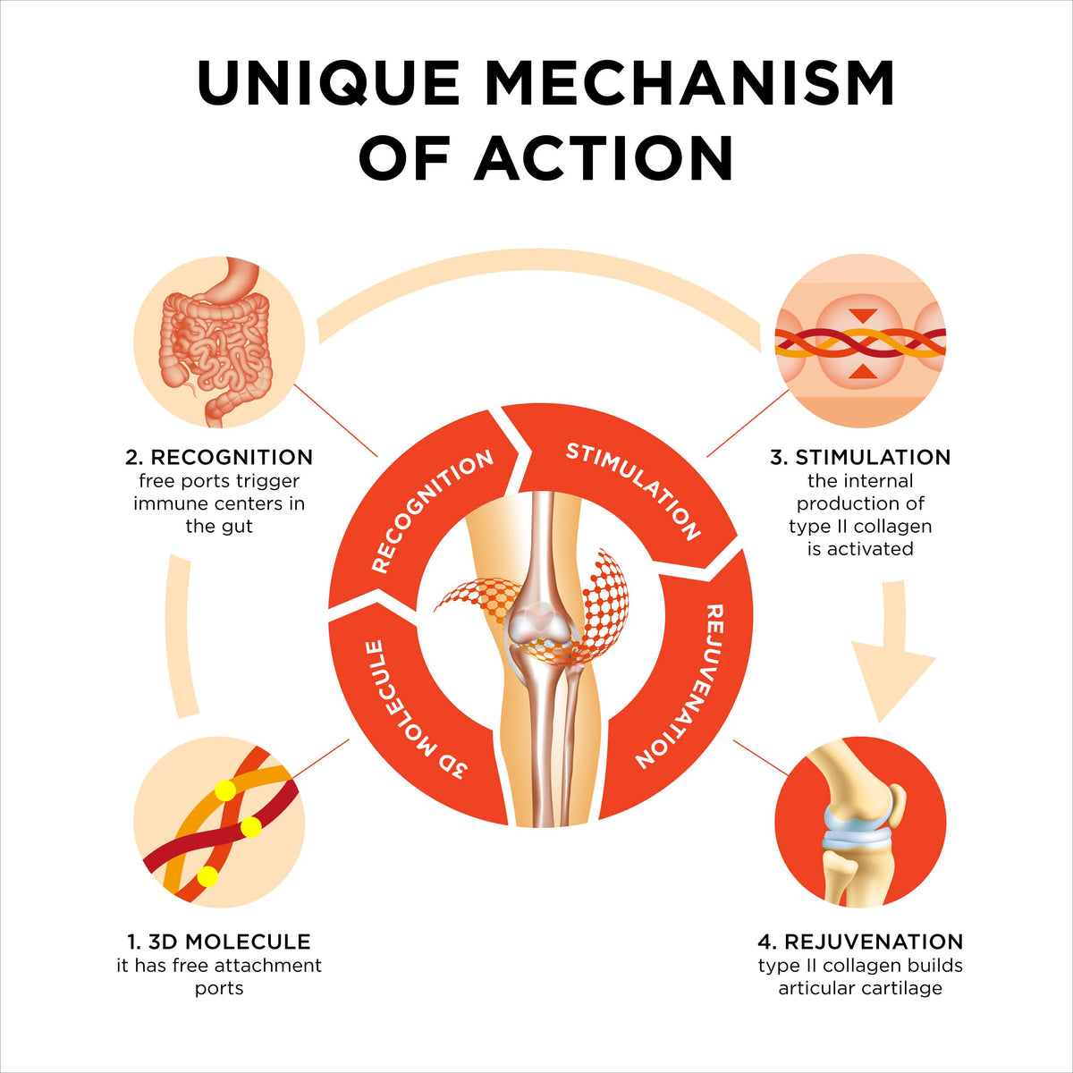 Innovation in The Care of Healthy Joints – Liquid Formula in a Double Capsule. 3D Collagen + Micelle Extract of Turmeric Roots 1 Capsule/Day. Laboratory Tested CollanolBuy Supplements Australia