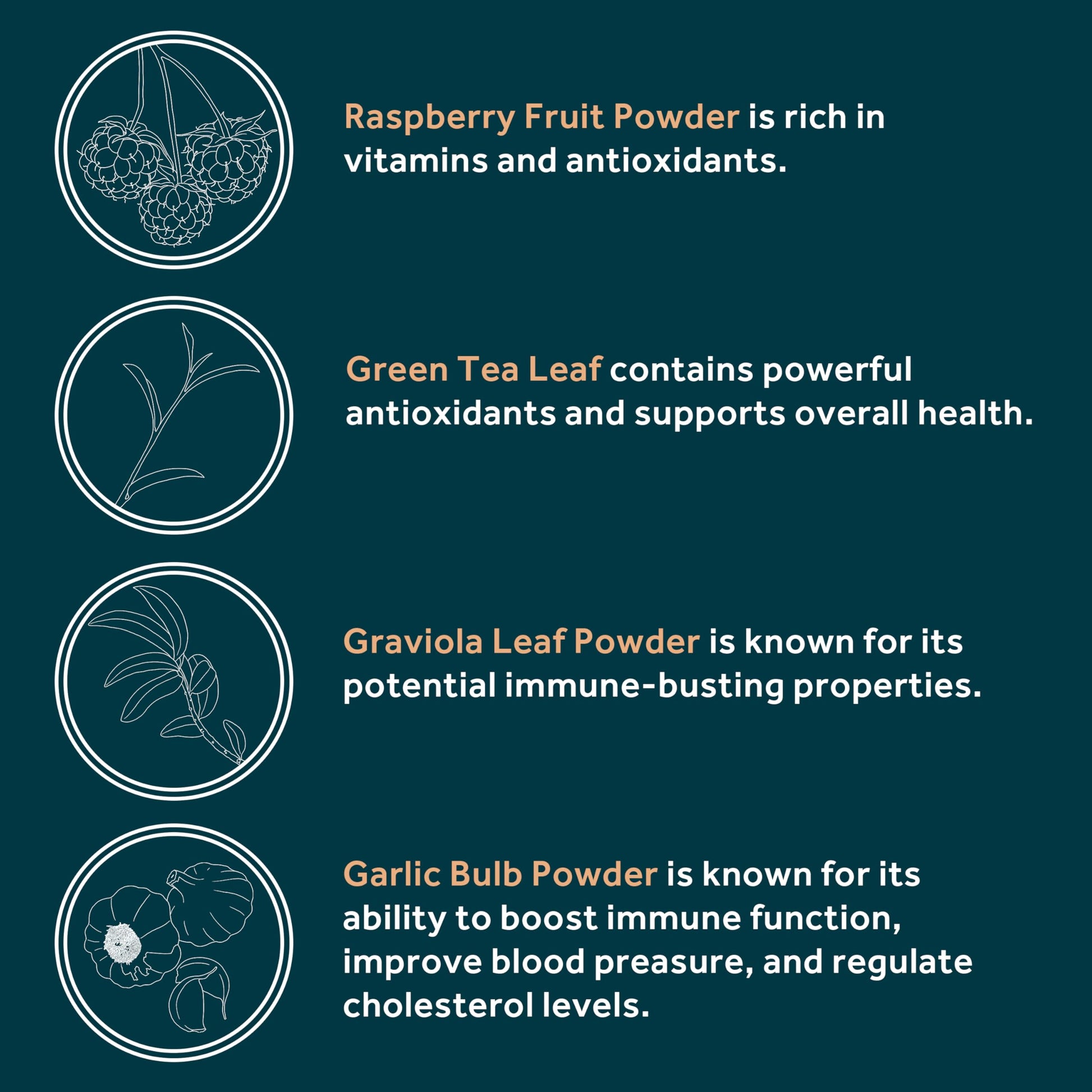 Immuni - Immune Support - Vitamin Supplement for Cold & Flu Relief - Natural Immunity System Booster - Vitamin C & E, Rasberry Fruit Powder, Green Tea Leaf, Olive leaf, and more - 30 Capsules OWL Balance buy supplements Au