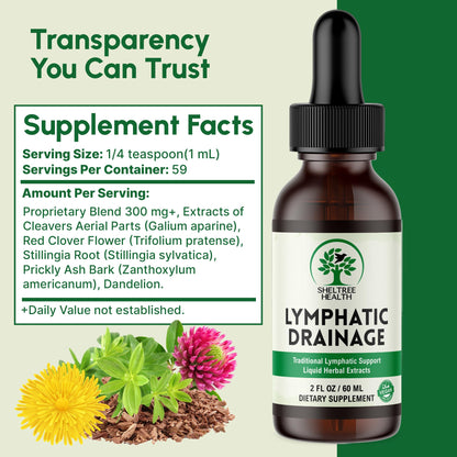 SHELTREE HEALTH Lymphatic Drainage Drops, 2 Fl. Oz | Organic Lymphatic Drainage Supplements with Cleavers, Red Clover Flower, Stillingia Root, Prickly Ash Bark, Dandelion | Vegan | Non-GMO SHELTREE HEALTH buy supplements Au