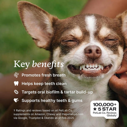 PetLab Co. ProBright Dental Powder, Extra Small Dogs, 2-Pack | Brown algae, green tea and probiotics in one easy daily scoop to support tartar and fresh breath