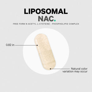 Codeage Liposomal NAC Supplement - N-Acetyl L-Cysteine Amino Acid - 2 Month Supply - Free-Form NAC - Phospholipid Complex - Vegan, Non-GMO, Gluten-Free, Dairy-Free - 120 Capsules CodeageBuy Supplements Australia