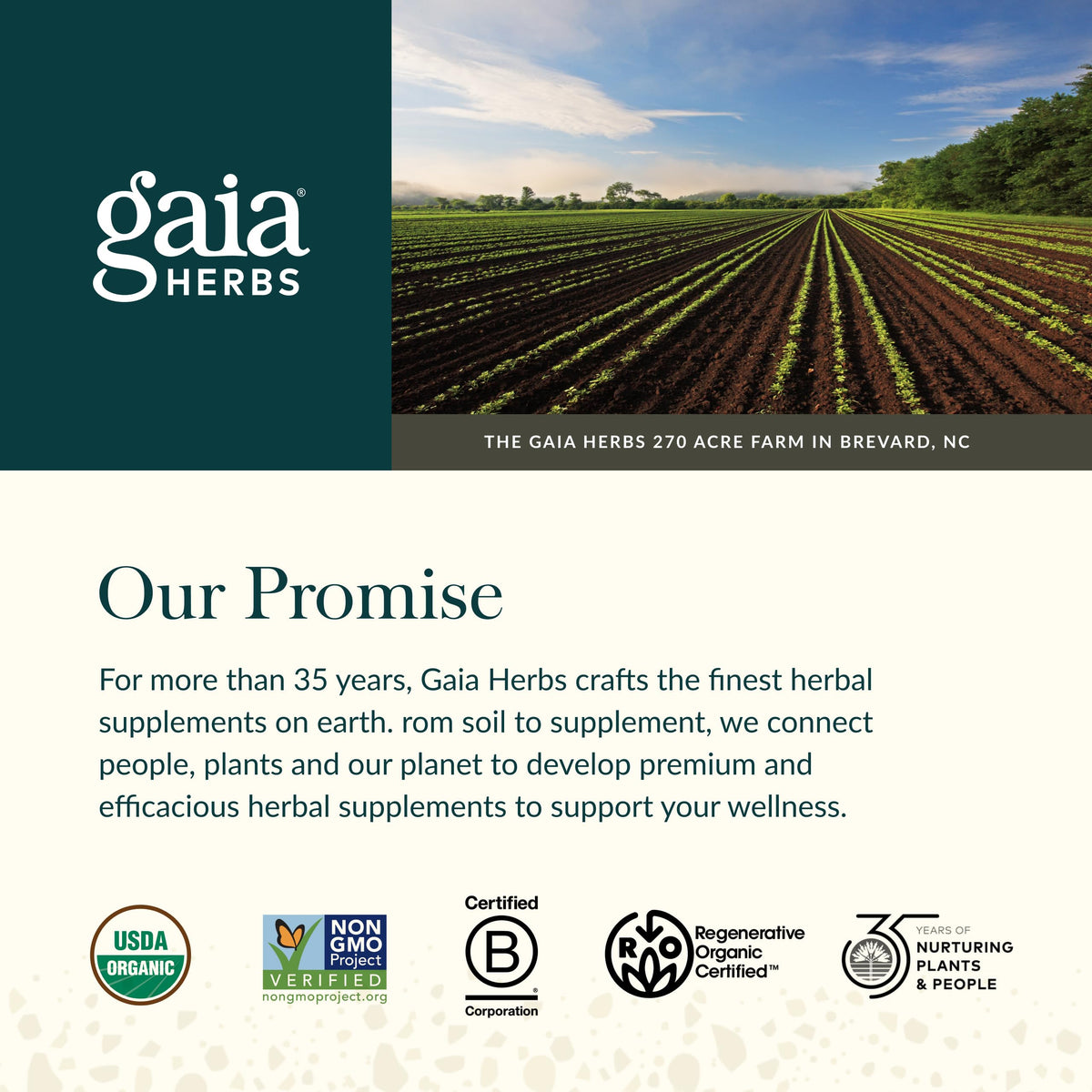 Gaia Herbs Milk Thistle Gummies - Herbal Supplement with Antioxidant Properties for Liver Health & Liver Detox - Lemon Flavored - 60 Vegan Gummies Gaia HerbsBuy Supplements Australia