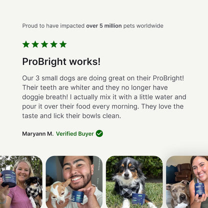 PetLab Co. ProBright Dental Powder - Dog Breath Freshener - Teeth Cleaning Made Easy – Targets Tartar & Bad Breath - Formulated for Medium Size Dogs - Pack of 2
