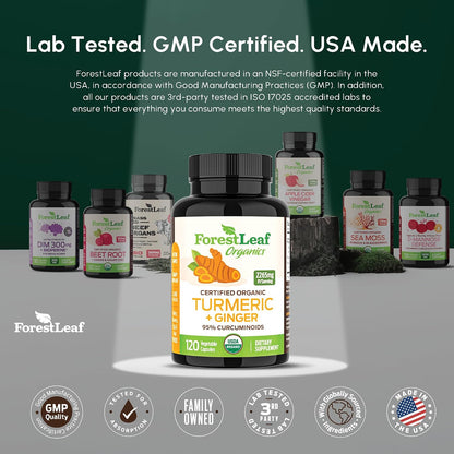 Turmeric Supplement Extra Strength 2265mg - Turmeric Curcumin Supplement w/BioPerine Black Pepper - Tumeric and Ginger Supplements, 95% Curcuminoids, Supports Immune & Joint Health, 120 Caps