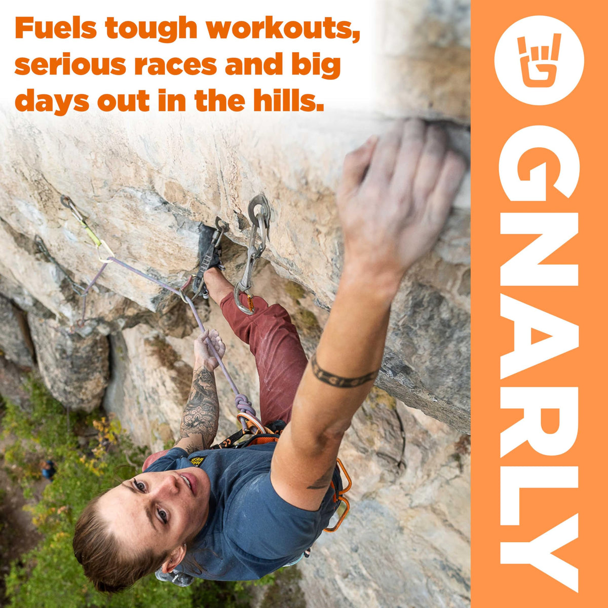 Gnarly Nutrition Hydrate Electrolyte Powder – Orange Pineapple Exercise Hydration Drink Mix – NSF Sport Certified – Electrolyte Solution, Performance & Recovery – Orange Pineapple, 14.10 oz