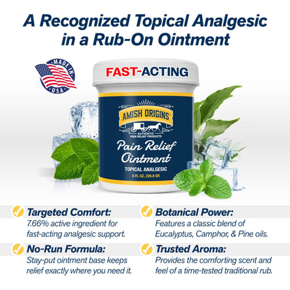 Amish Origins Pain Relief Ointment 4 oz Maximum Strength All Natural Discomfort Reliever for Joint, Muscle, Knee, Back, Neuropathy
