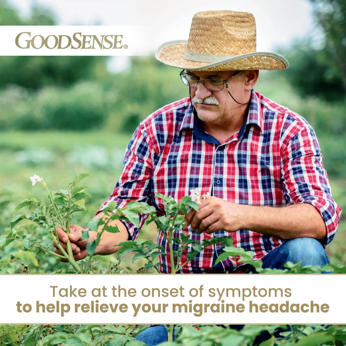 GoodSense Migraine Formula Caplets - Acetaminophen, Aspirin (NSAID) & Caffeine - Migraine Pain Relief, 24 Count GoodSenseBuy Supplements Australia