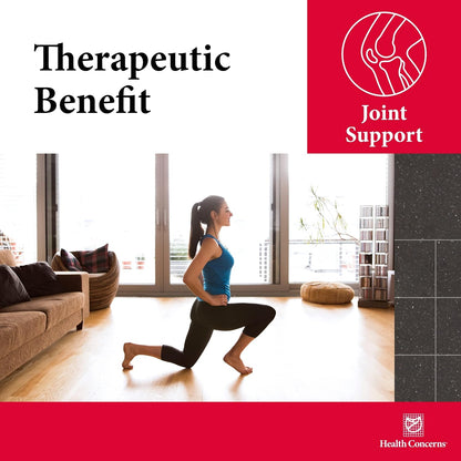 Health Concerns Mobility 2 – Joint Health Support Supplement for Men & Women – Chinese Herbal Circulation Support – Natural Joint & Muscle Aid – Herbal Extracts – 90 Capsules