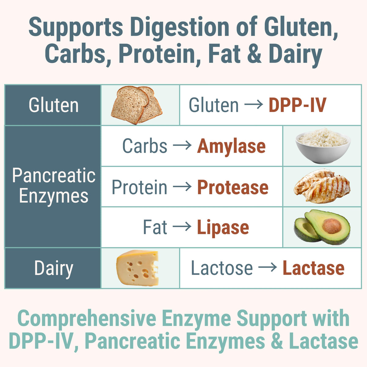 Gluten & Lactase Digestive Enzyme Gummies – Lactase Pancreatic Enzymes with DPP‑IV Lipase Gluco‑Amylase Lactase, Drops Chewables Capsules Pills Powder Supplement Alt, Pancreatic Support, for Kids SHIZAMBuy Supplements Australia