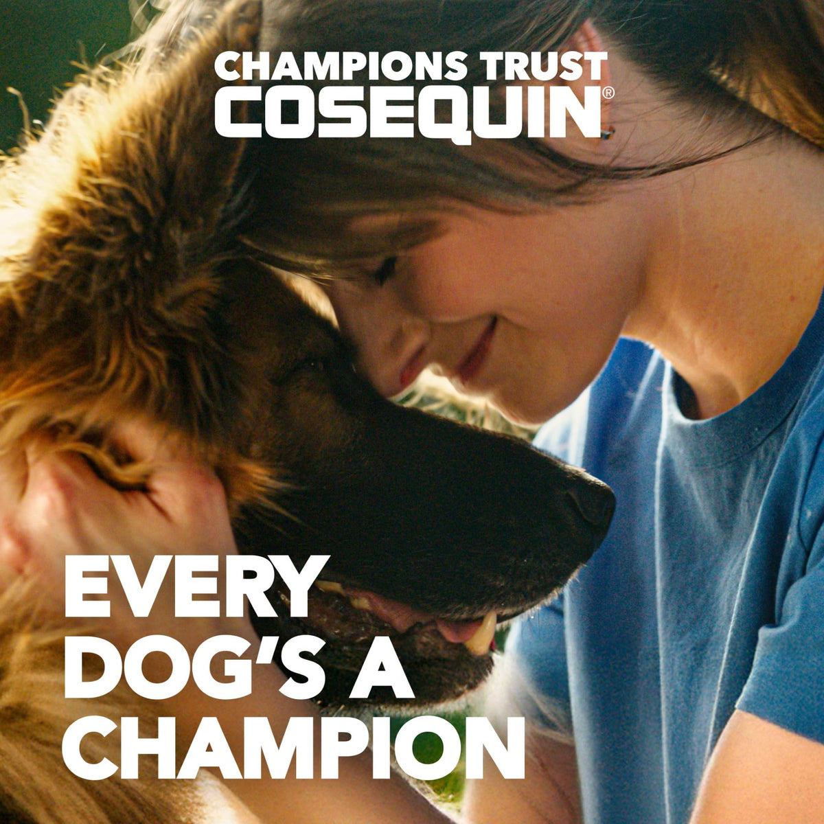 Nutramax Cosequin for Dogs Joint Health Supplement, Contains Glucosamine for Dogs, Chondroitin, MSM and Omega-3s, Supports Joint and Skin and Coat Health, Soft Chews, 60 Count Nutramax LaboratoriesBuy Supplements Australia