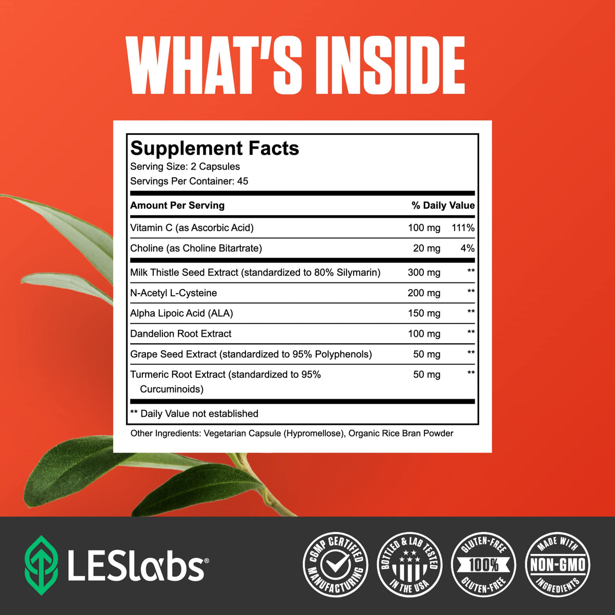 LES Labs Liver Support – Promotes Healthy Liver Function, Glutathione Production & Detoxification – Milk Thistle, NAC, ALA & Dandelion Extracts – Non-GMO Supplement – 90 Capsules LES Labs buy supplements Au