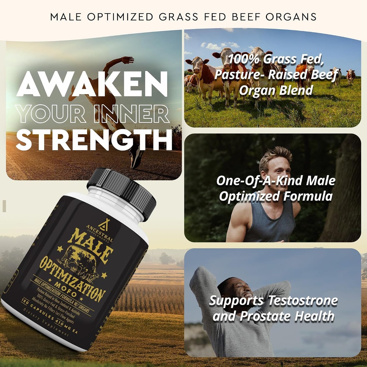 Ancestral Supplements Beef Liver & Mofo Bundle for Men – Supports Energy, Strength, Hormone Health & Vitality – Grass Fed, Pasture Raised Beef Organ Multivitamin with Targeted Nutrients