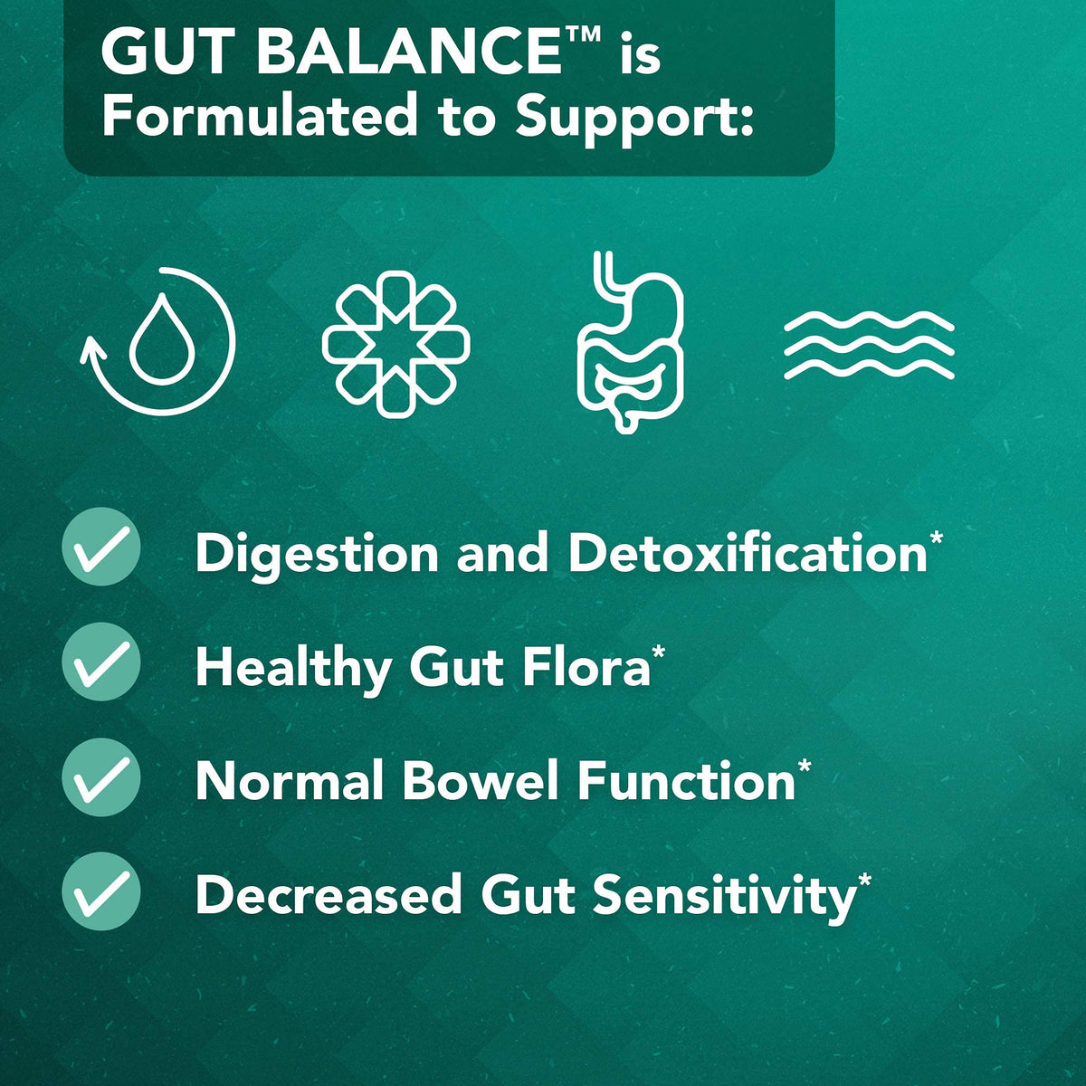 Vital Plan Gut Balance Supplement by Dr. Bill Rawls - Advanced Digestive Health Support Formula w/Clinical-Grade Slippery Elm Bark, Berberine & Dandelion Extract for Women & Men (180 Capsules) Vital Plan buy supplements Au