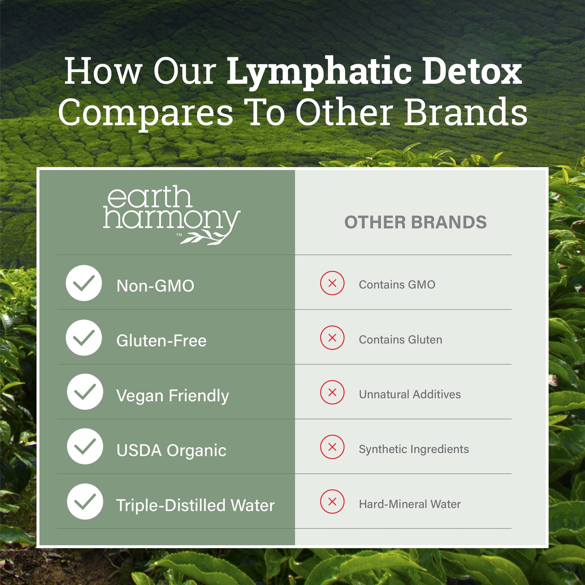 Earth Harmony Lymphatic Drainage Drops, Lymph Detox - Supplement with Soursop, Cat's Claw Bark, Astragalus, Wormwood, Lymph Node Detox, Lymphatic Support Cleanse (2 Oz) Earth Harmony Naturals buy supplements Au