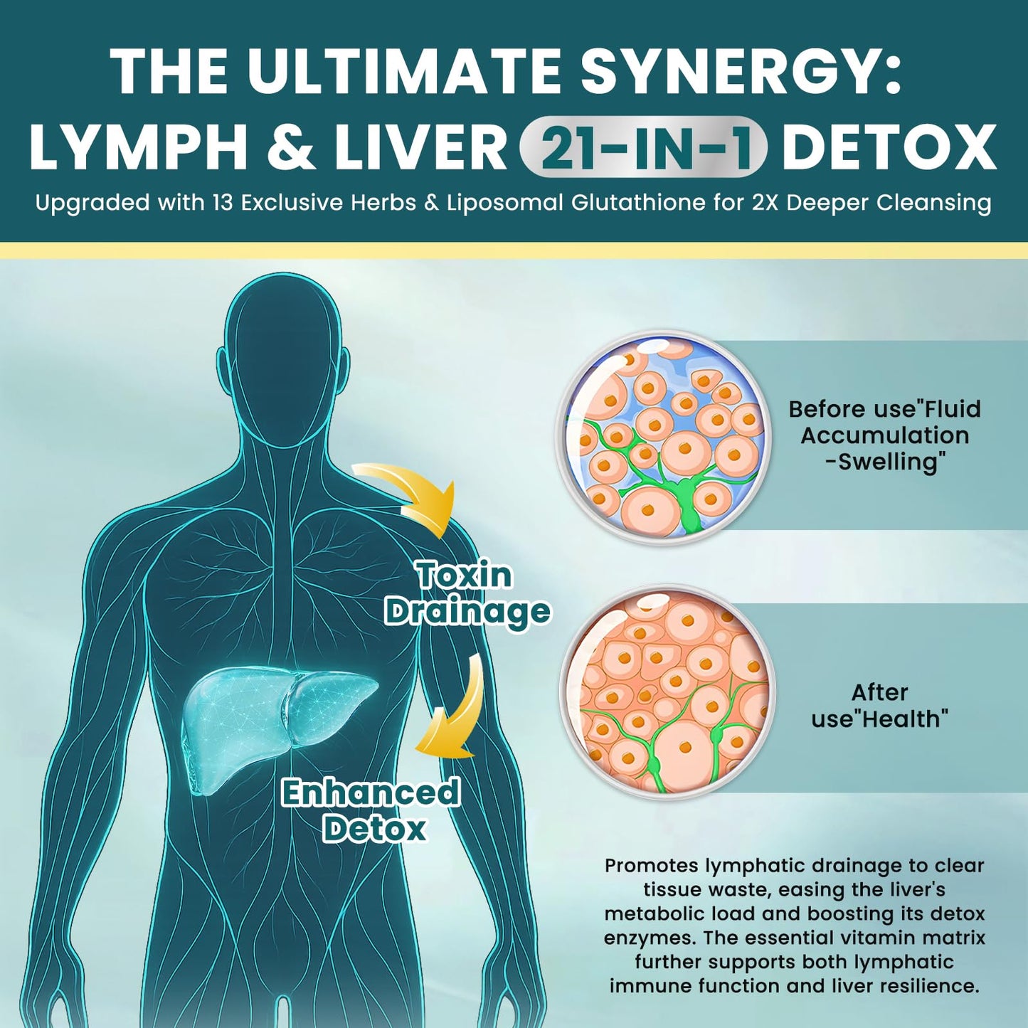 Liposomal Lymphatic Drainage Drops - 21 in 1 Liver Cleanse Detox & Repair with Milk Thistle, Echinacea, Burdock Root, Liposomal Glutathione, Vitamin Complex ''Lymph-Liver'' Gut & Metabolic Health CFILIHTC buy supplements Au