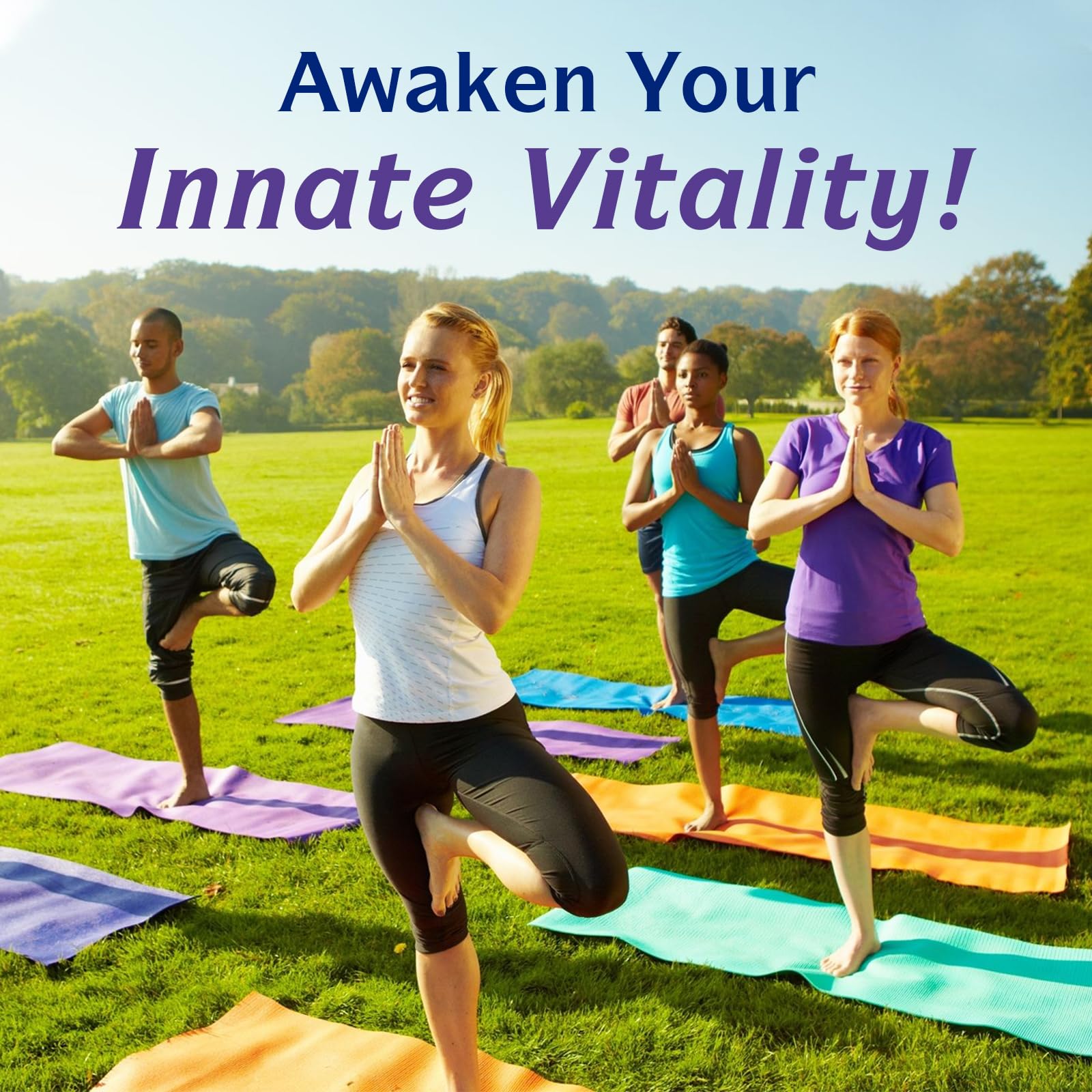 Innate Vitality Magnesium Complex 6-in-1, 1160mg Per Serving, Rest & Digestion, Magnesium Glycinate & Citrate, High Absorption, 120 Vegan Capsules Innate Vitality buy supplements Au
