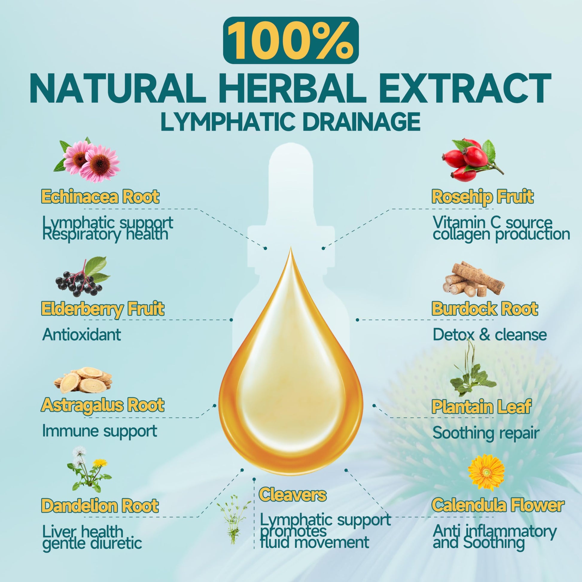 Organic Lymphatic Drainage Drops - Lymphatic Drainage Supplement with Echinacea for Lymph System Support, Elderberry, Astragalus, Cleavers, Burdock & Dandelion for Lymphatic Cleanse & Detox-2 Fl Oz SANSICE buy supplements Au