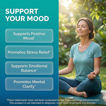 Clean Nutraceuticals St Johns Wort Rhodiola Rosea Holy Basil Ashwagandha - Mood Support for Women and Men with Vitamin C & Black Pepper Extract - 90 Caps