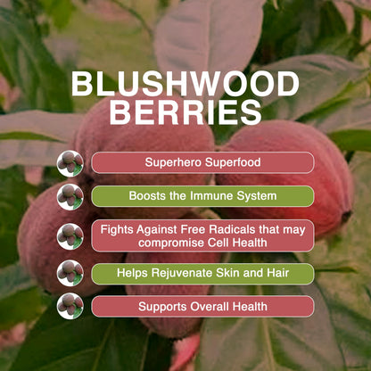 Aussie Pure Blushwood Berry Superfruit Daily Cell Defense - Soursop - Kakadu Plum - Pomegranate - Blueberry - Immune and Cell Support Powder - All Ages - Lab Tested and Authenticated - 180g/6.4oz Aussie Pure buy supplements Au