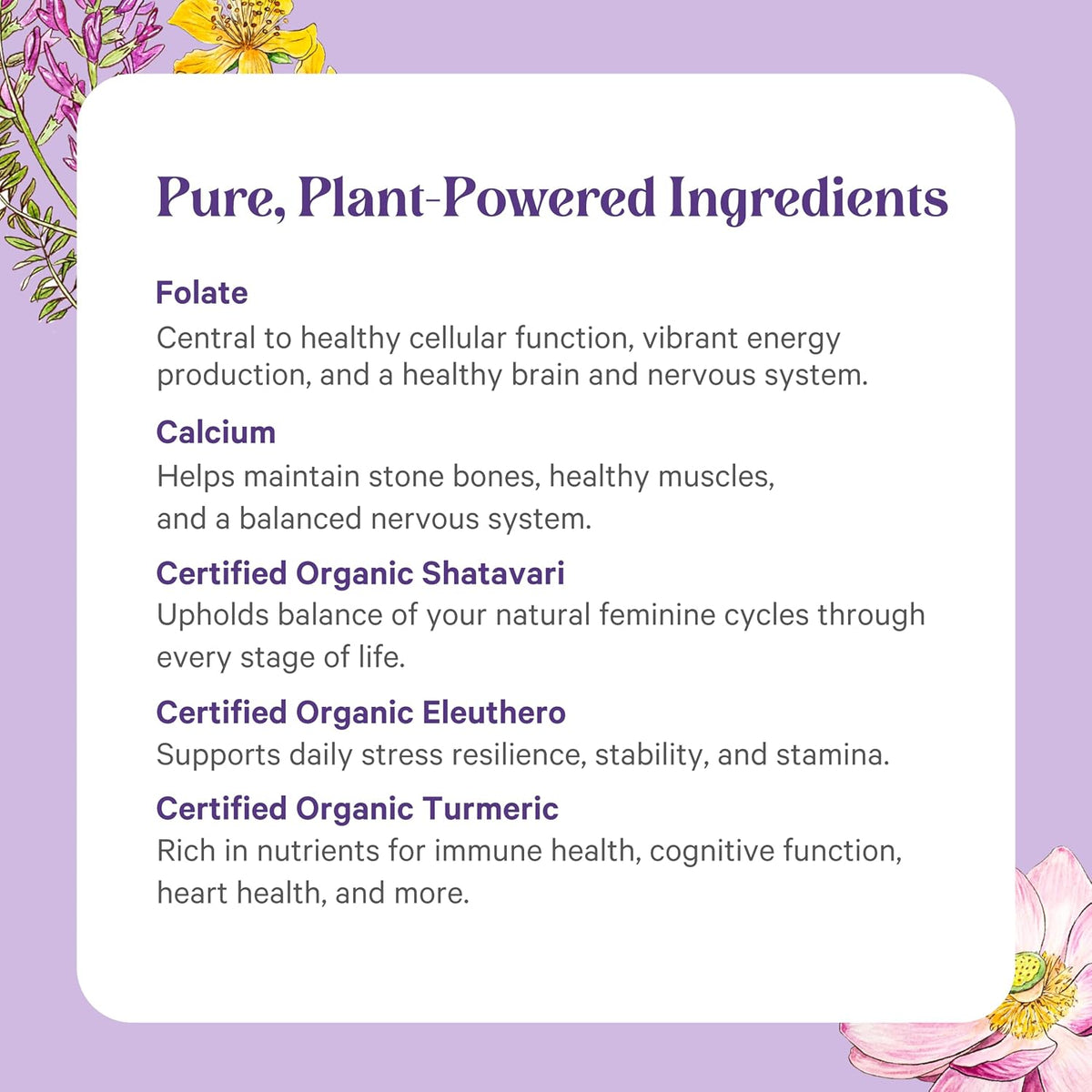 PURE SYNERGY Vita·Min·Herb for Women | Women’s Comprehensive Multivitamin Supplement | Made with Organic Whole Food Non-GMO & Vegan Ingredients | Supports Energy & Immune Health (120 Tablets)