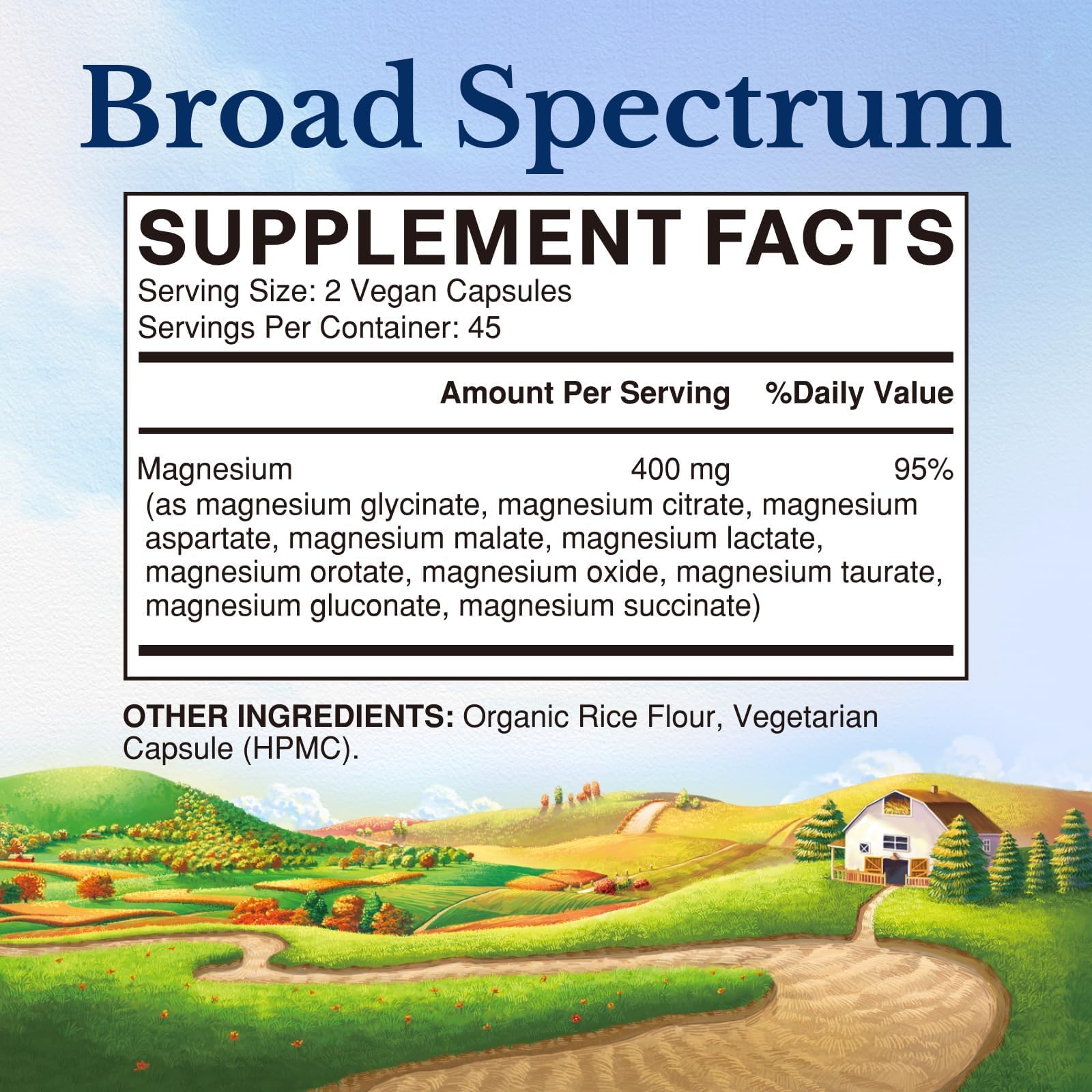 Vitalitown 10 in 1 Magnesium Complex Supplement - 400mg Elemental Magnesium Chelated with Glycinate, Citrate, Malate, Taurate & More - for Sleep Heart Energy - Non-GMO, Vegan, 90 Caps Vitalitown buy supplements Au