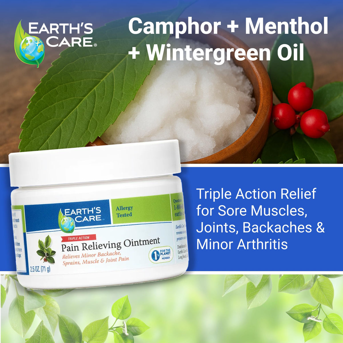 Earth's Care Pain Relieving Ointment - Triple Action Muscle and Joint Pain Relief Cream - Topical Analgesic 2.5 oz (3 Jars) Earth's CareBuy Supplements Australia
