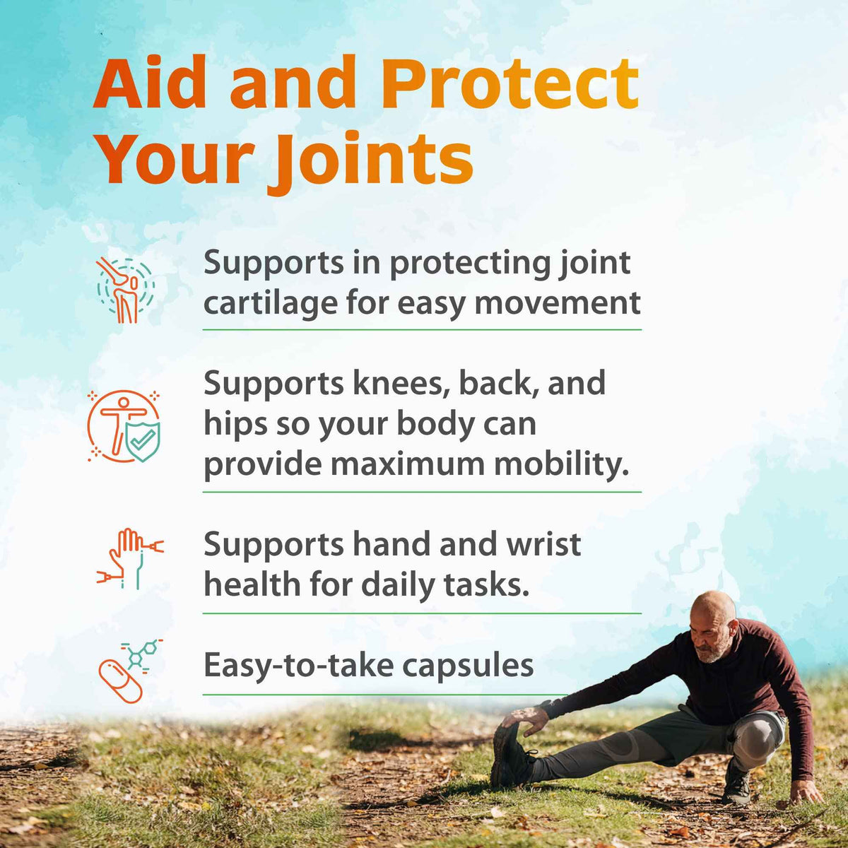 Zenith Labs Joint N-11 Joint Health Supplement
