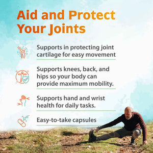 Zenith Labs Joint N-11 Joint Health Supplement