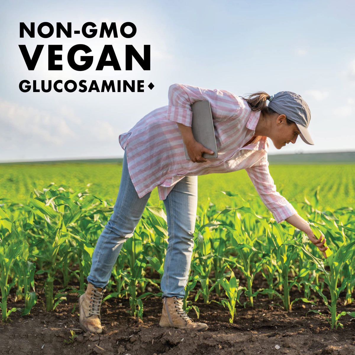 BlueBonnet Vegetarian Glucosamine Plus MSM Supplement, 120 Count ('743715011151) BlueBonnetBuy Supplements Australia
