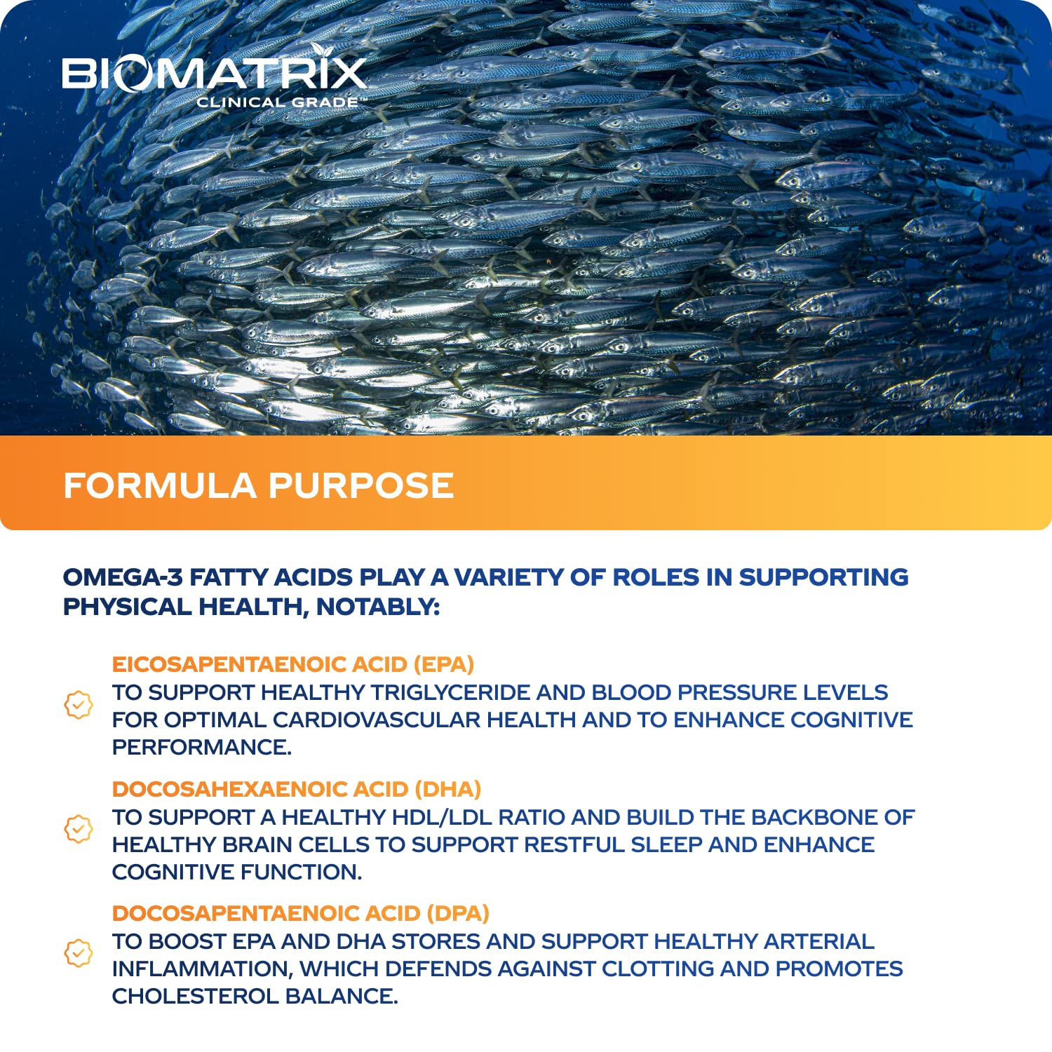 Support Omega EPA DHA Omega 3 Fish Oil Supplement - Cardiovascular, Musculoskeletal Support (120 Gel Capsules) BioMatrix buy supplements Au