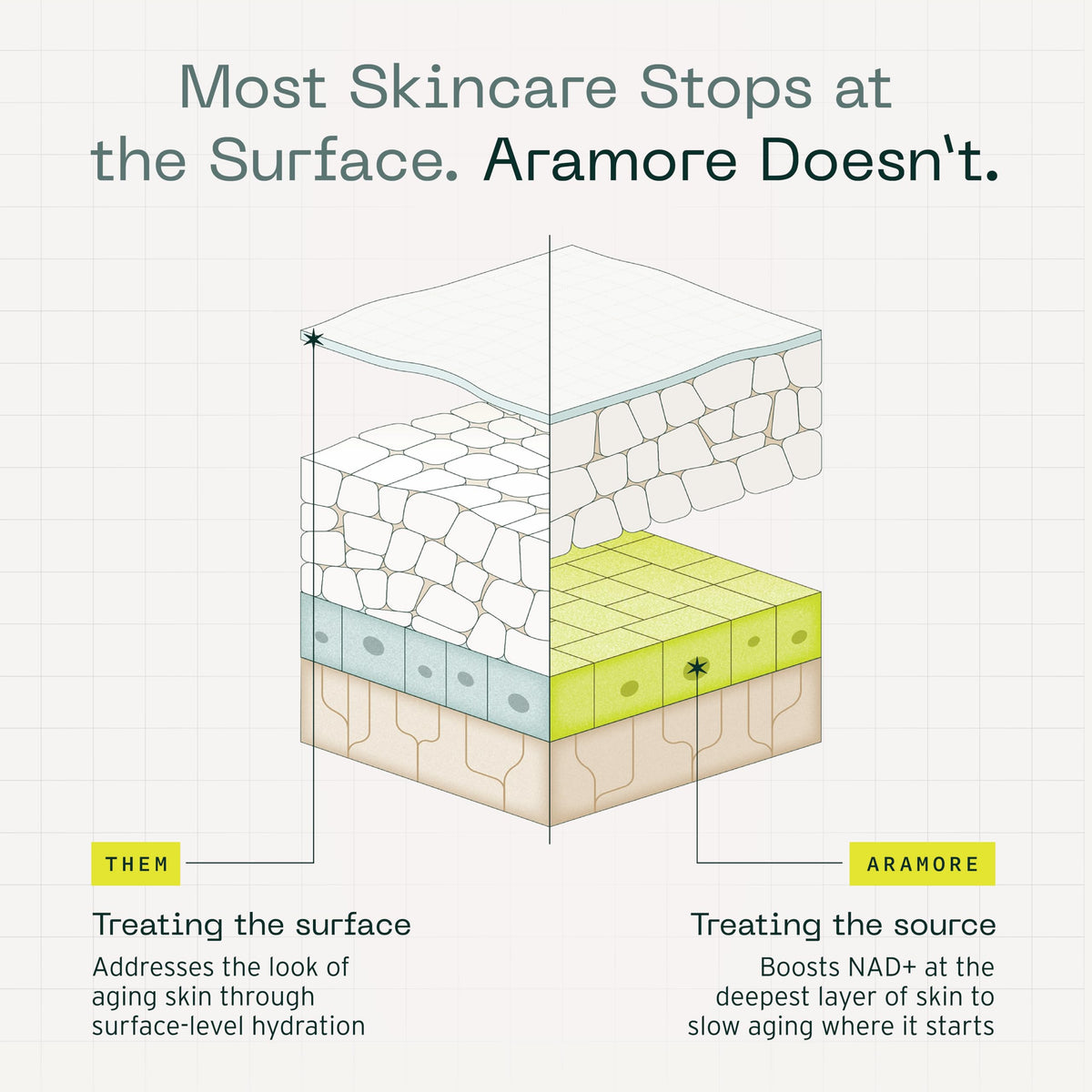 Aramore NAD+ Cell Energizing Skin Care Treatment with Proprietary NAD+ Precursor Complex, Clinically Proven to Target 12 Signs of Aging - 15ml AramoreBuy Supplements Australia