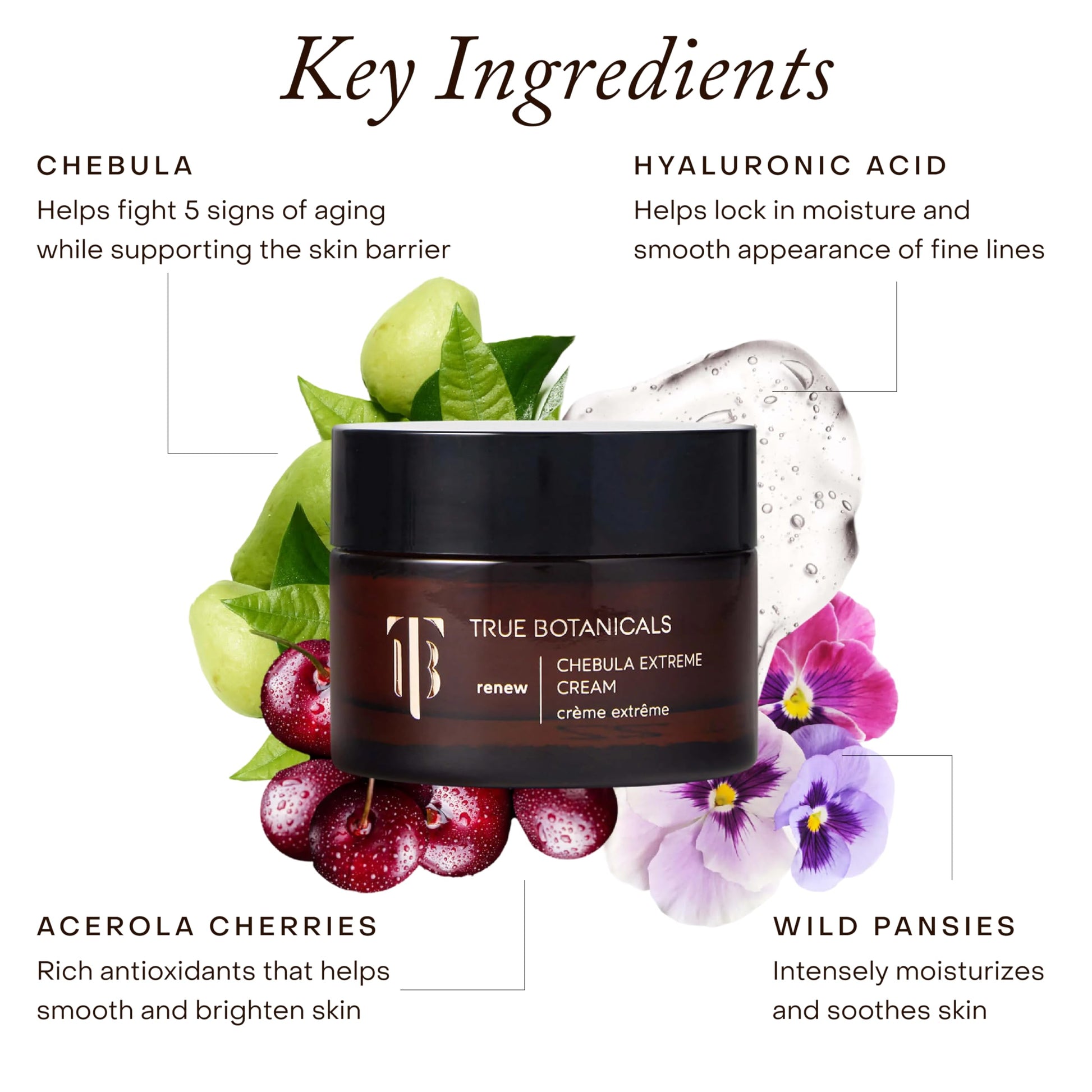 True Botanicals Chebula Extreme Cream | Anti-Aging Moisturizer w/Hyaluronic Acid | Treats Fine Lines & Wrinkles | Dry & Sensitive Skin | Dermatologist Tested, All Natural, Vegan | 1.7 oz | 50 ml True Botanicals buy supplements Au