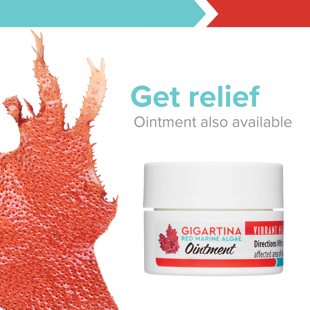 Vibrant Health, Gigartina Red Marine Algae, Plant-Based Immune Support, 60 Capsules Vibrant HealthBuy Supplements Australia