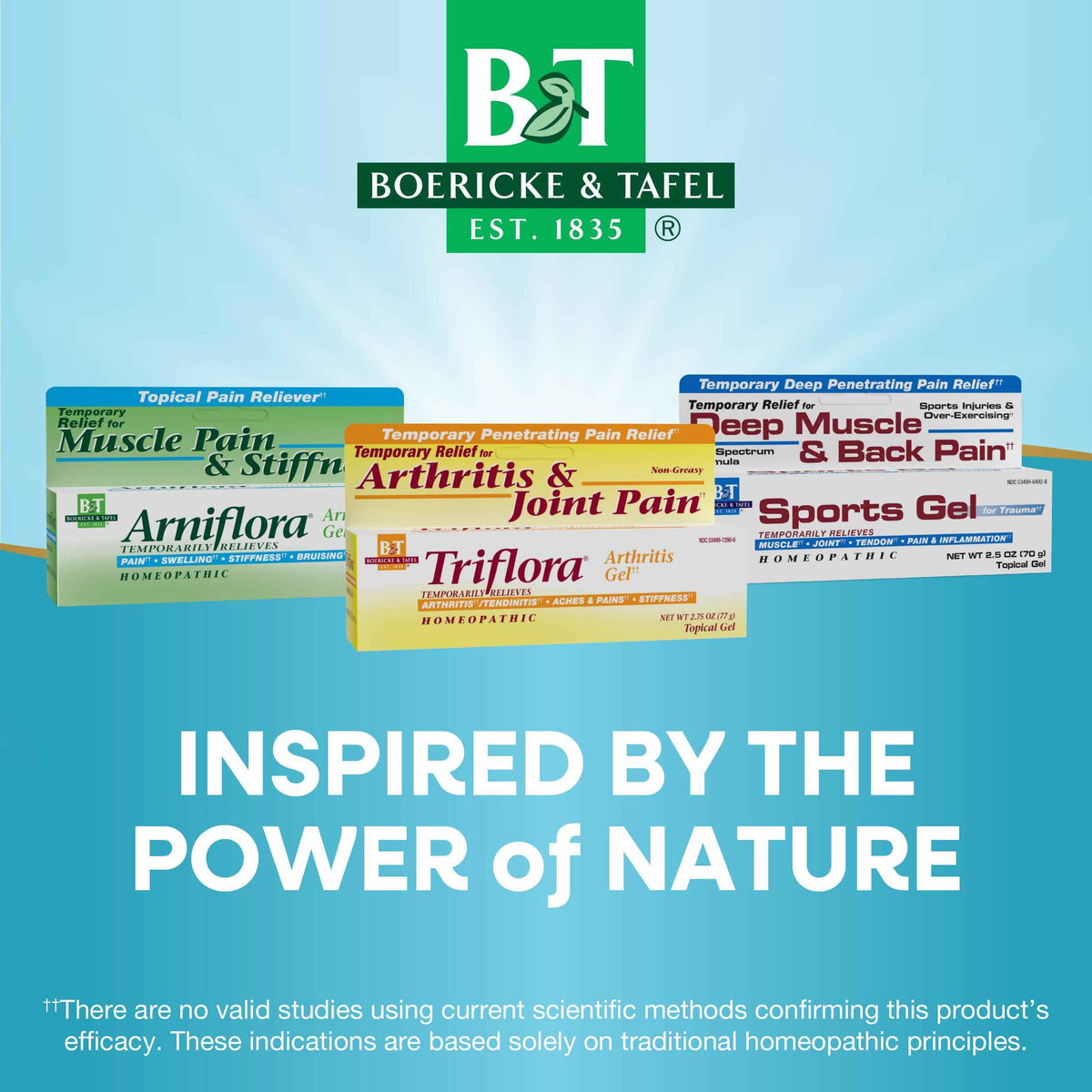 Boericke and Tafel Triflora Arthritis Gel, 2.75 Ounce
