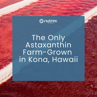 Nutrex Hawaii BioAstin Hawaiian Astaxanthin - 4mg, 60 Softgels - Farm-Direct Premium Antioxidant Supplement to Support Eye, Skin, Joint & Immune System Health - Non-GMO & Gluten-Free Nutrex Hawaii buy supplements Au
