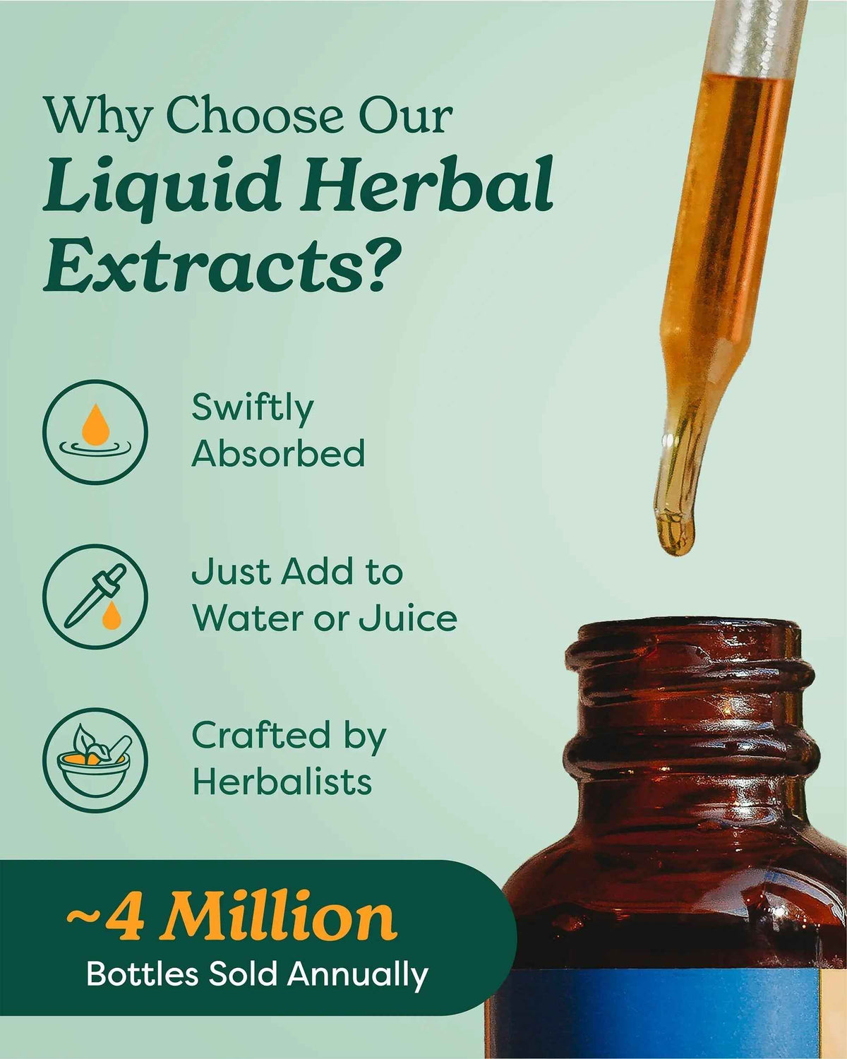 Herb Pharm Chanca Piedra Liquid Extract for Urinary System Support, 1 Fl Oz