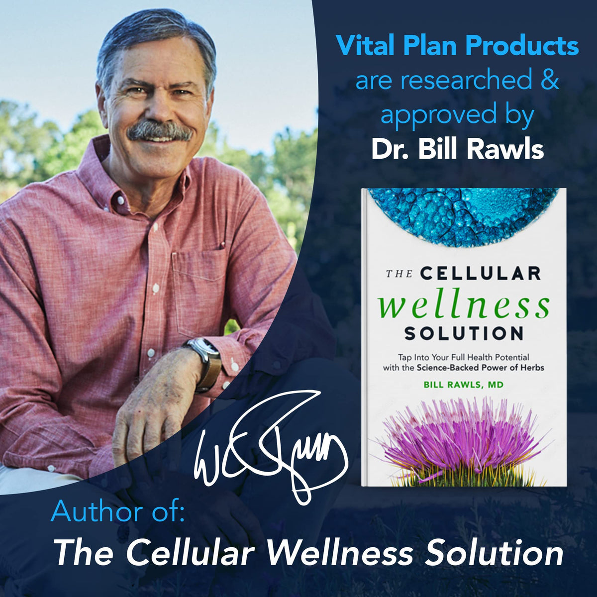 Vital Plan Gut Balance Supplement by Dr. Bill Rawls - Advanced Digestive Health Support Formula w/Clinical-Grade Slippery Elm Bark, Berberine & Dandelion Extract for Women & Men (180 Capsules) Vital Plan buy supplements Au
