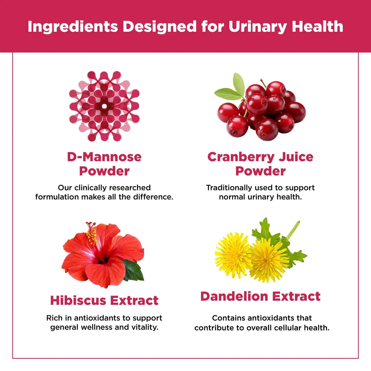 Plantvital D Mannose Capsules with Cranberry - D-mannose 1000mg Capsules - High Potency for Bladder, Kidney and Urinary Tract Support. Cranberry Powder with Hibiscus and Dandelion. 2 Months Supply
