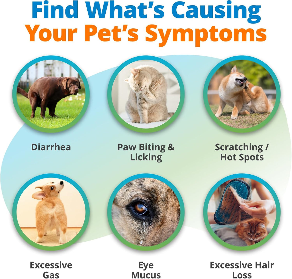 5Strands Air & Freeze-Dried Pet Food Intolerance Test with 360 Items Tested
